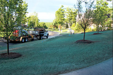 Huntsville Garden Design